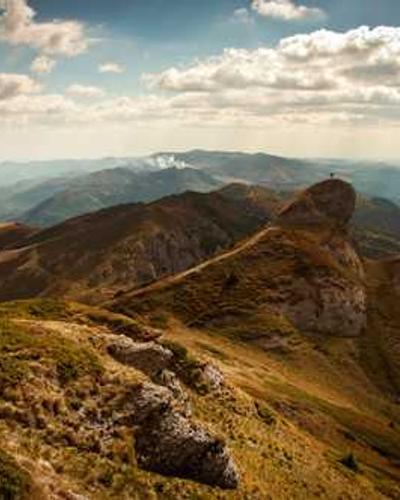 《深夜食堂》治愈漫画